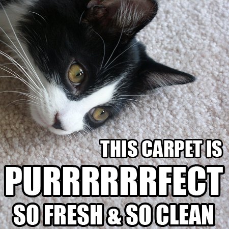 carpets2you (@carpets2you) on Twitter photo 