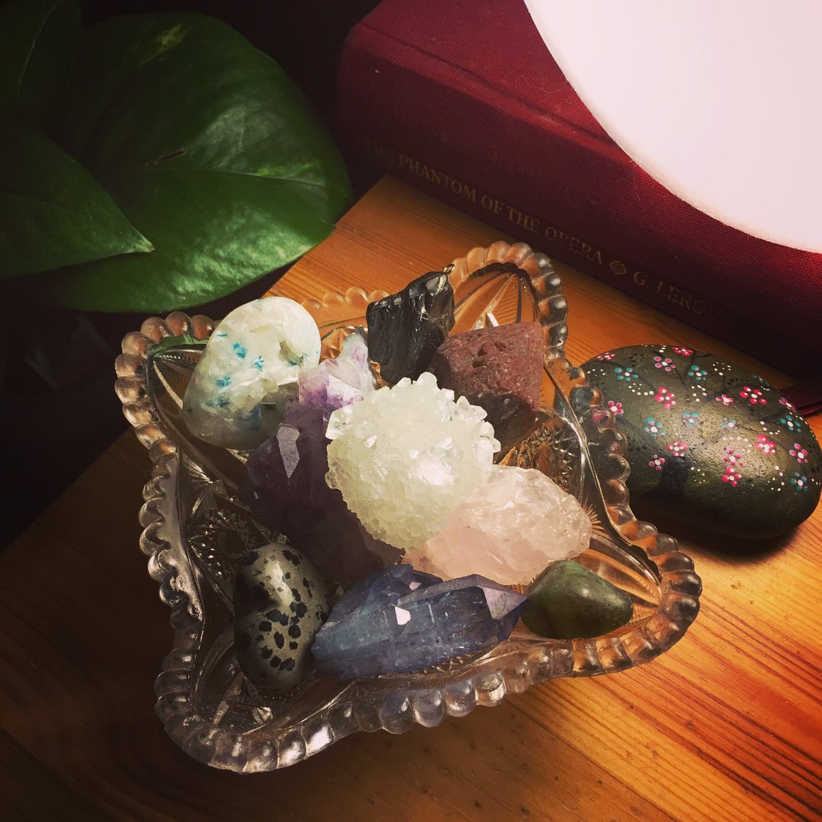 thechakrapalace's tweet photo. My little glass bowl of crystals I keep by my bedside. What crystals do you love to have nearby? #apophyllite #aquaaura #cavensite #amethyst #superseven #rosequartz #dalmationjasper #labordorite #shungite #crystals #crystalhealing #positivity #meditation #chakrapalace https://t.co/VVX5yaqtcS