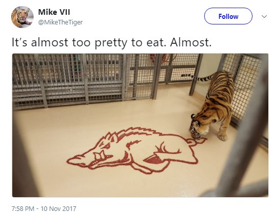 Someone seriously deserves an award for best meat art ... can't imagine there'd be many entrants, but still. #LSU <a href="/MikeTheTiger/">Mike VII</a>