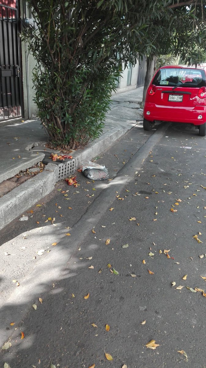 skanderfarah's tweet photo. @LaComerOficial @CoyoacanDenunci @SEDEMA_CDMX Abuso constante de la comer,  delegación Coyoacán ausente. Ruido, apeste, riesgos e insalubre. https://t.co/rmoxy1PJBO