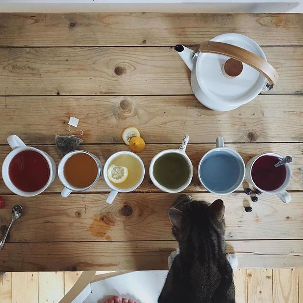 From one of the most inspiring Instagrammers...#Repost <a href="/me_and_orla/">S</a> (<a href="/get_repost/">Repost</a>)
・・・
This week I read an article by <a href="/candacerardon/">Candace Rose Rardon</a> called …