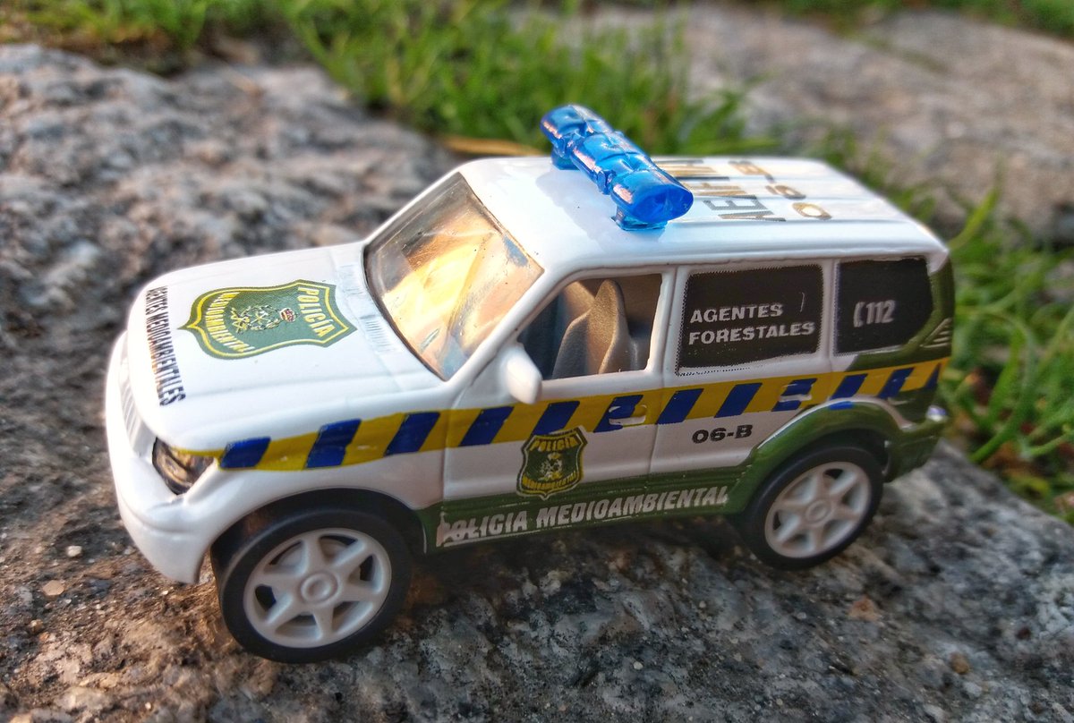 Más de 70 agentes MMAA debaten ahora en el Real Sitio de la Granja sobre los cauces y límites de la representación profesional. Sindicatos y Asociaciones Profesionales. Los retos cederán ante la altura de miras y fortaleza de todos los representantes que visten el mismo uniforme.