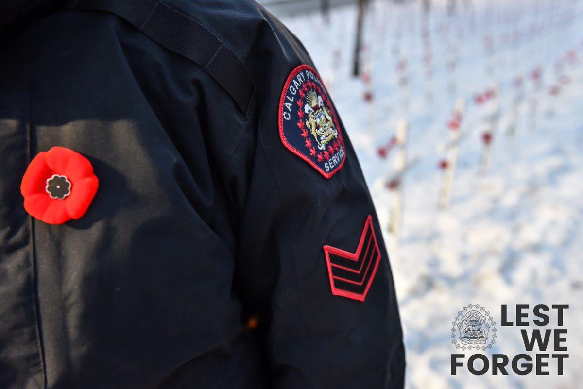 Lest We Forget

We salute all men &amp; women who have fought for our freedom. Please take some time today to remember and reflect.

#RememberThem