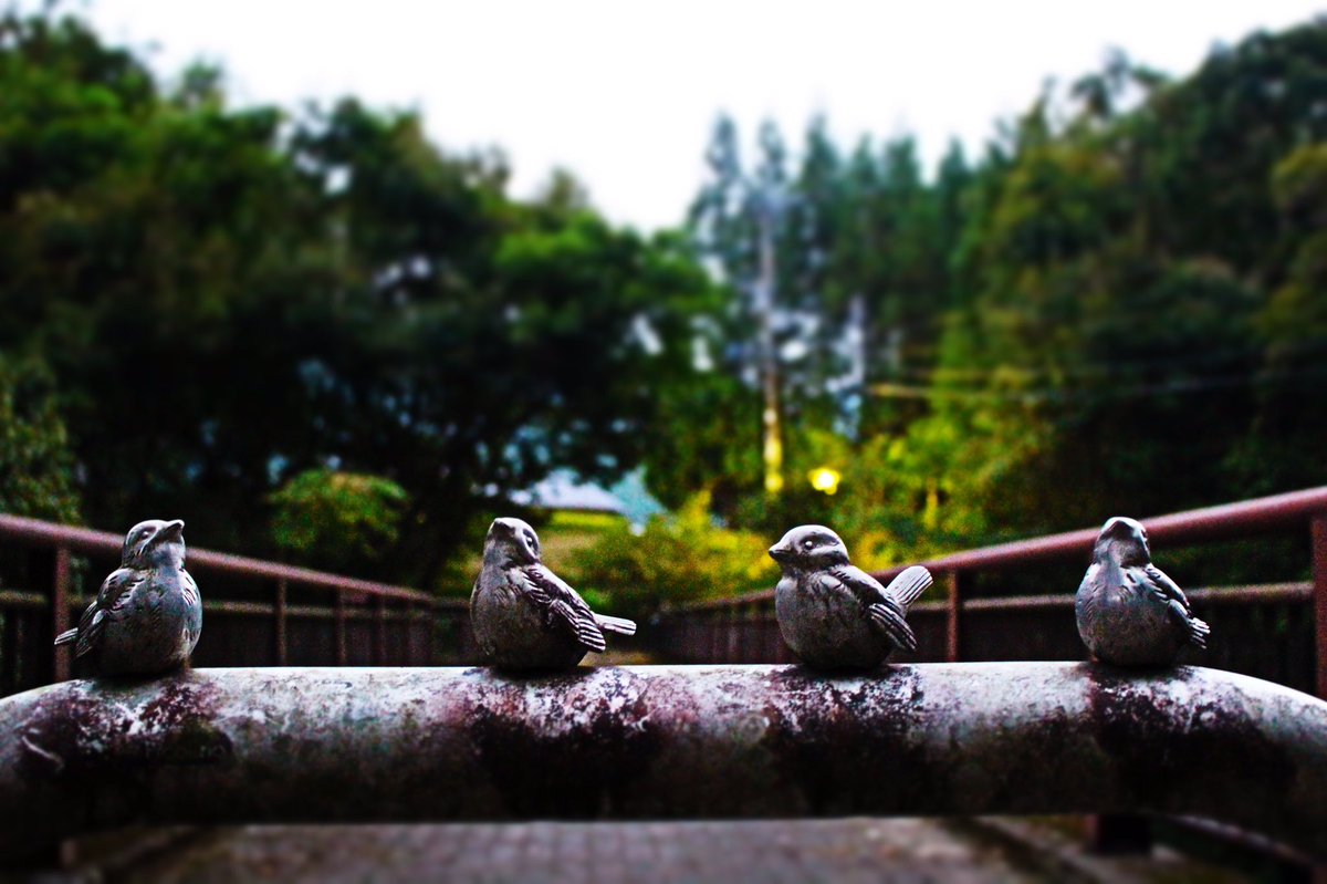 fujipicture's tweet photo. #写真好きな人と繋がりたい https://t.co/Rk3sjzfYtQ