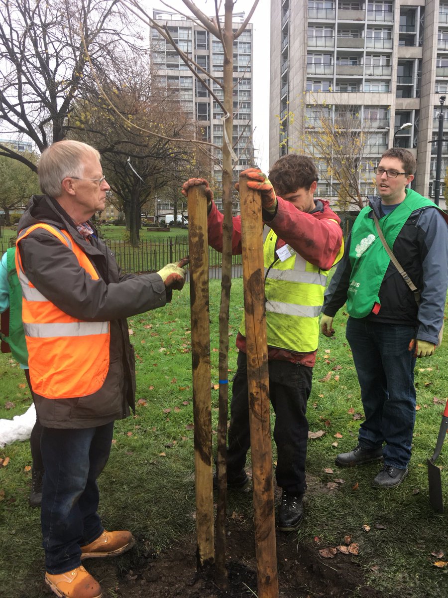 TreesforCities's tweet image. A fantastic day of the community coming together to plant a variety of new tree species in #kenningtonpark A huge thank you to @KenParkFriends and the rest of our amazing volunteers! #legacytrees