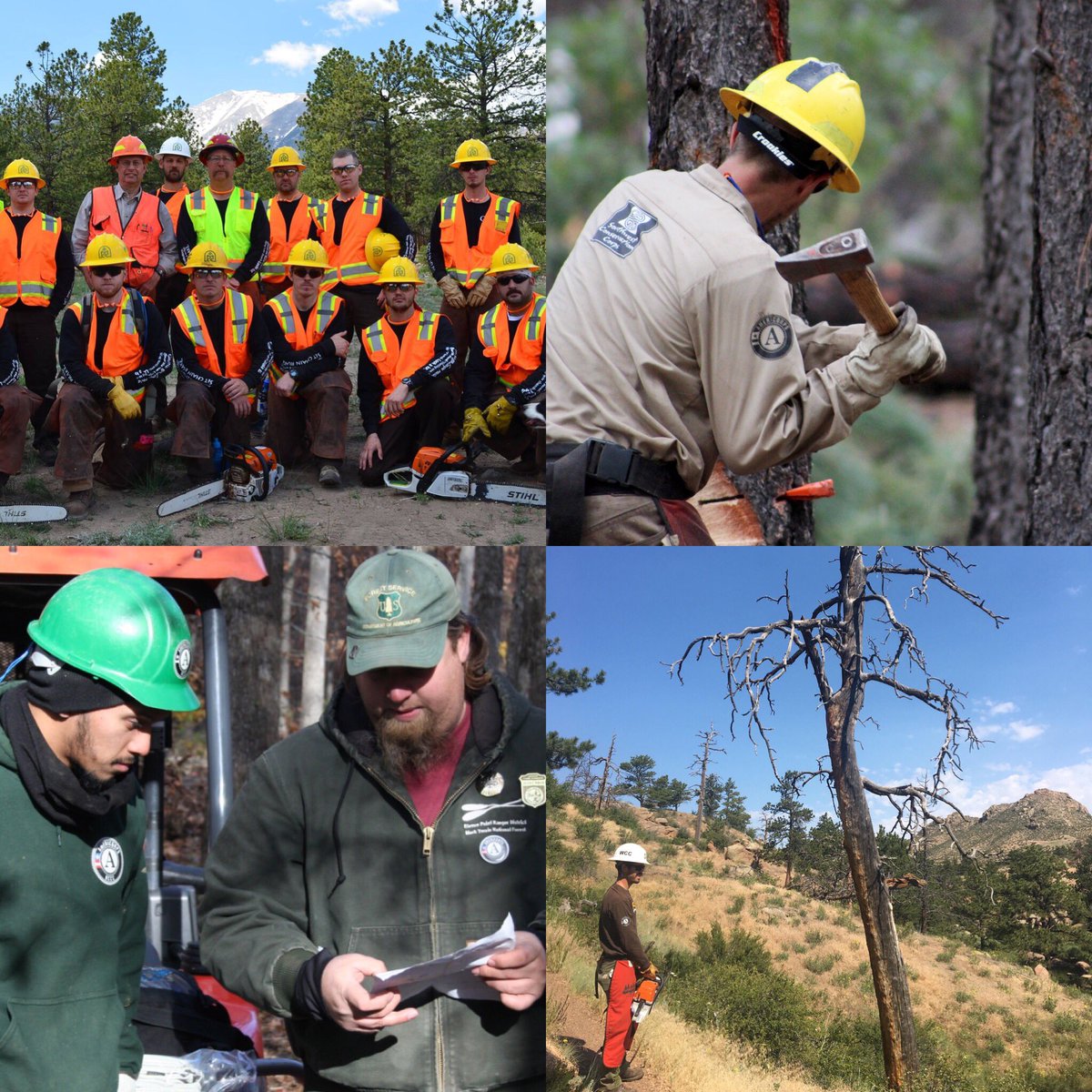 The Corps Network tweet media