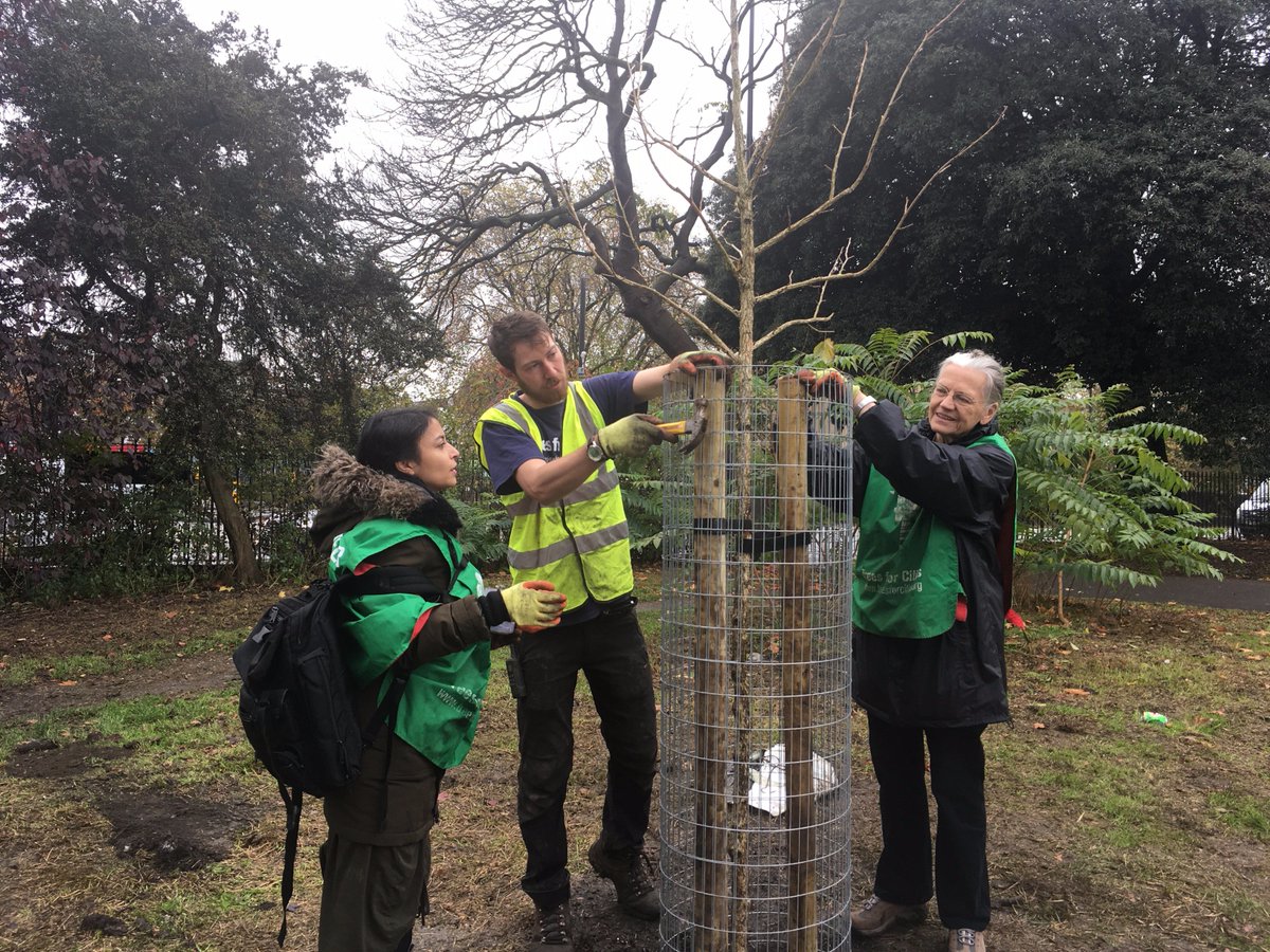 TreesforCities's tweet image. A fantastic day of the community coming together to plant a variety of new tree species in #kenningtonpark A huge thank you to @KenParkFriends and the rest of our amazing volunteers! #legacytrees