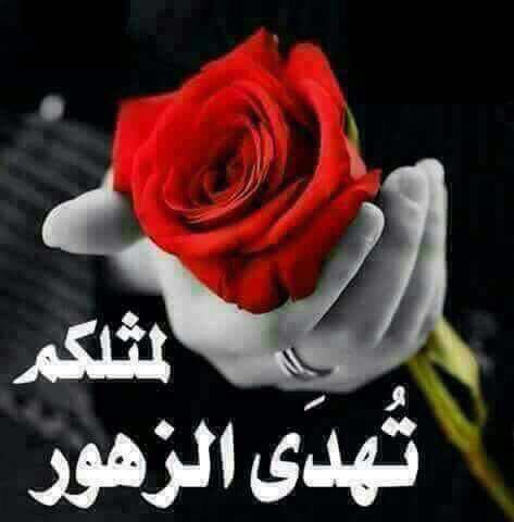 hayat_1438's tweet photo. #من_تجربتي_علي_تويتر الناس اللي تعرفت عليهم ، ناس ماتتعوض يَ اخخيي ❤️🌹س ع ا د ة🌹❤️ https://t.co/hMpz8GtVPN