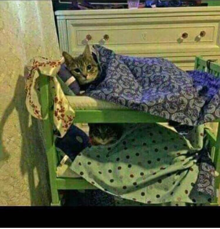 In High school when you refuse to go for Morning Preps then you hear someone being slapped at the entrance