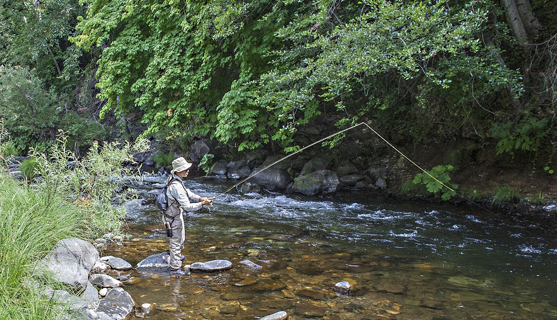 CalTrout's tweet photo. Had the honor of hosting vets from Project Healing Waters @PHWFF for some #flyfishing at our Trout Camp on #UpperSac #VeteransDay #Thankavet https://t.co/TsyStETGYJ