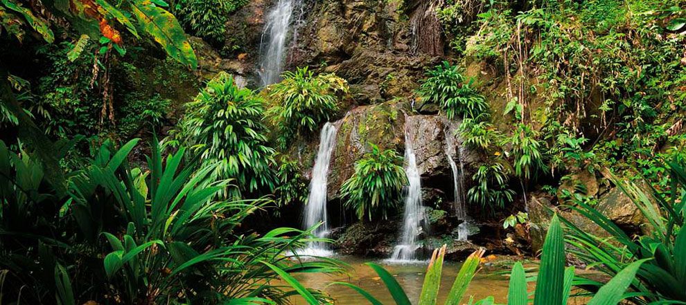 rpm_traveller's tweet photo. We asked four seasoned travel writers to share their own special Caribbean experiences in Trinidad &amp; Tobago, Antigua, Saint Lucia and Curacao https://t.co/usFiysj3LE #WestJet https://t.co/szA6sTdtz2