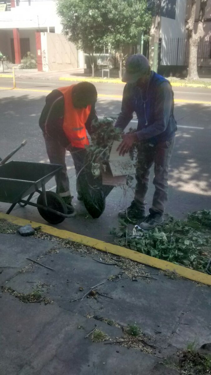 gastonlassalle's tweet photo. #LomasDeZamora Tareas de Barrido y Limpieza en #LomasEste #LomasEnMovimiento #SecretaríaDescentralizada @MunicipioLdeZ https://t.co/Lqvv5es6uo