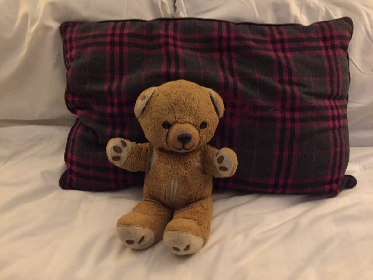 Teddy_Toes's tweet photo. @JosieTeebag Unfortunately not. But the bed has tartan cushions. https://t.co/LgqioqWApu
