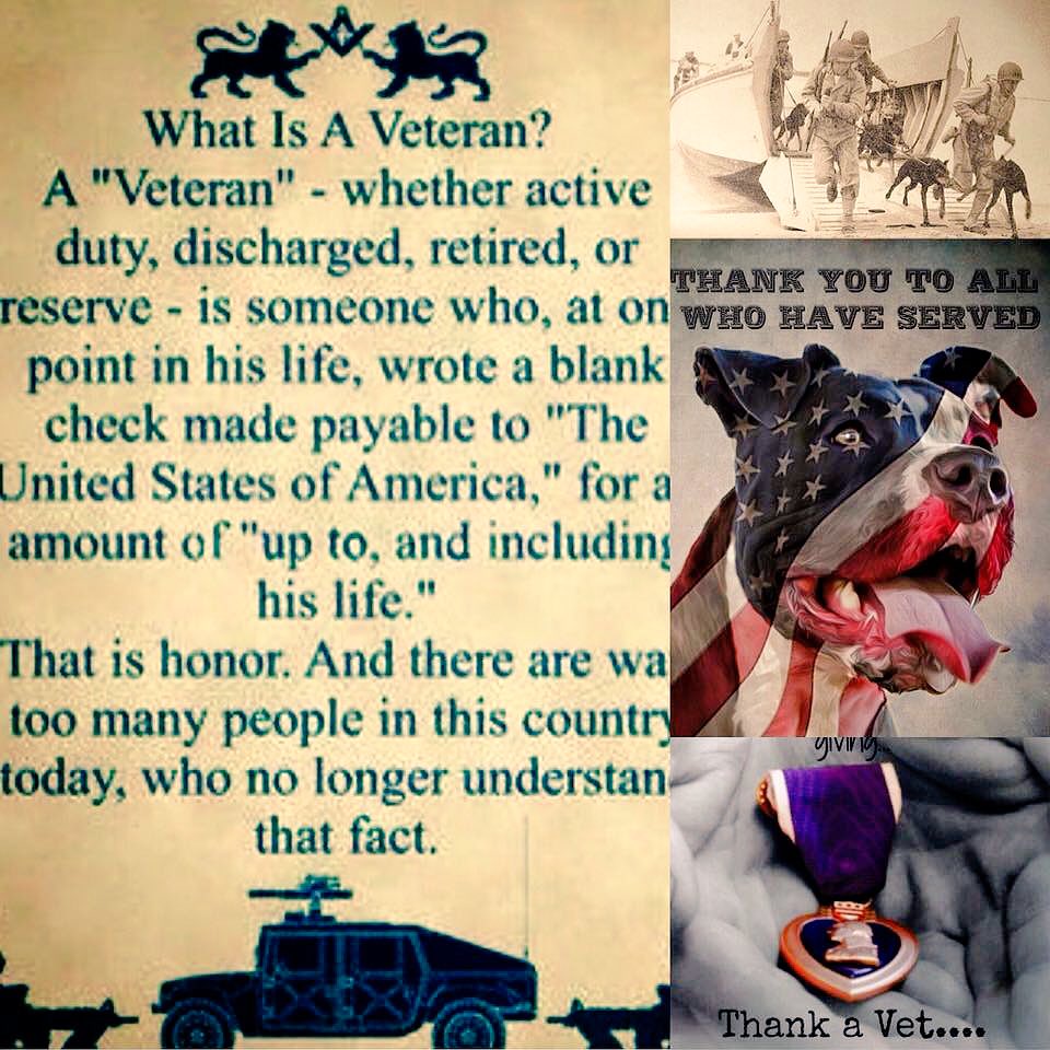 gimom69's tweet photo. #whatisaveteran #veteran #TheUnitedStatesOfAmerica #honor #fourleggedsoldiers #VeteransDayWeekend2017 https://t.co/PAT07SrppD
