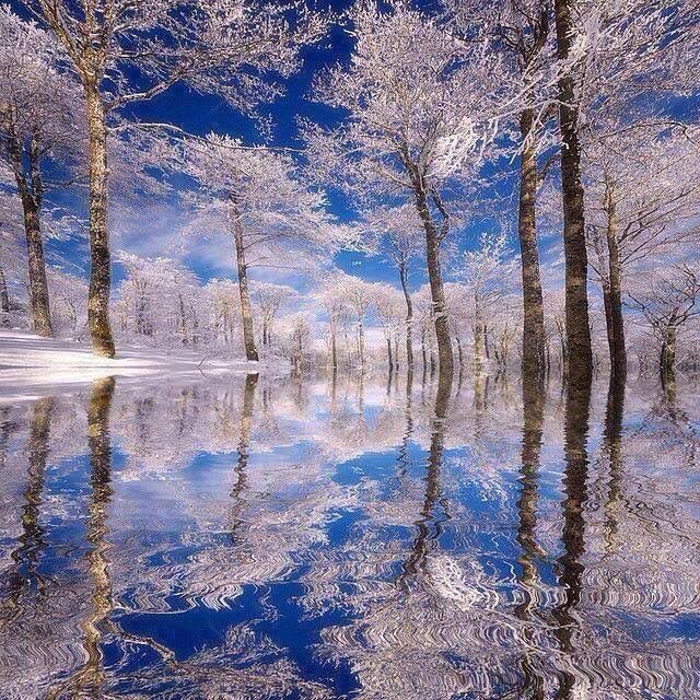 The power of imagination makes us infinite.

John Muir