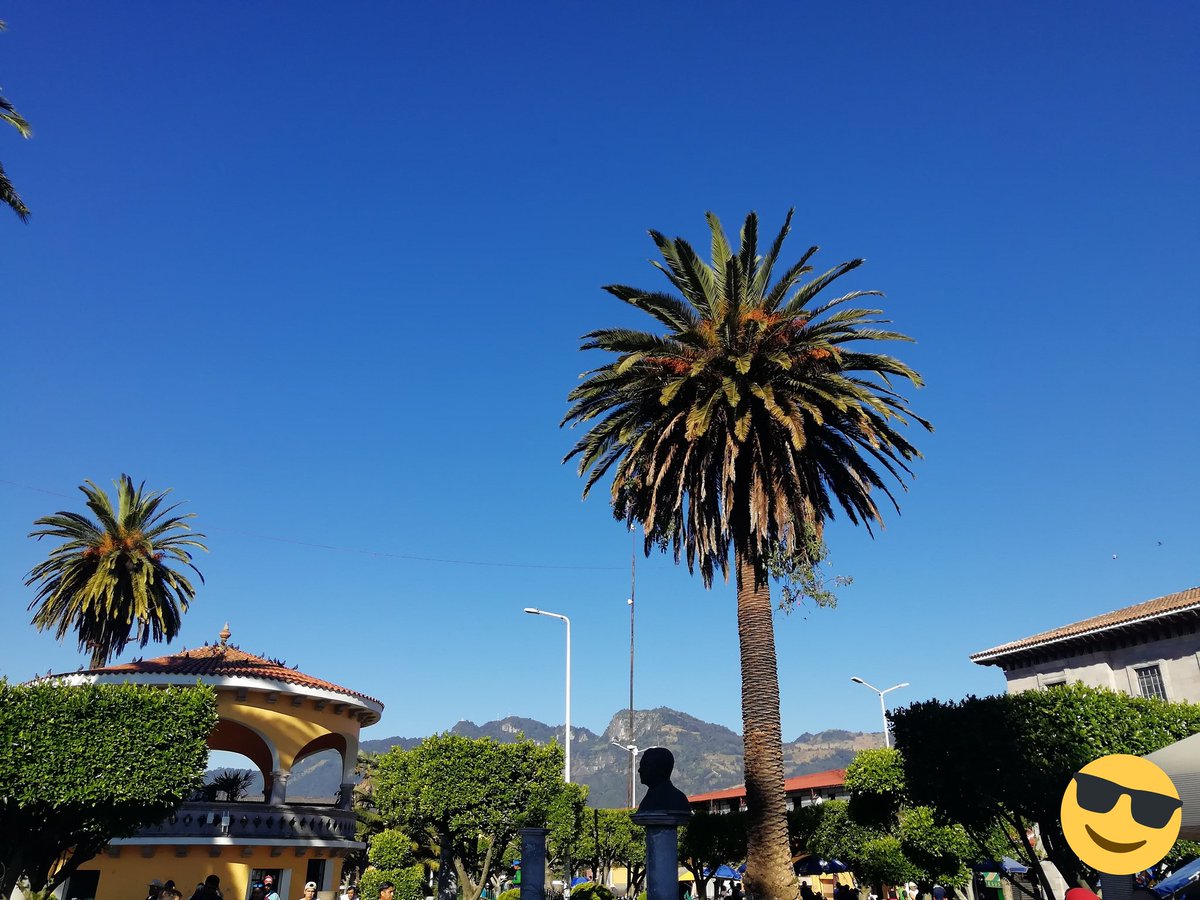 TengoAlasTrail's tweet photo. #tengoalasenlospies #Mexico 🇲🇽 #teziutlan #Yo❤️Trail @claret1080 @Clarix_27 @BetoVodka @blackboxstar @Heck1123 @aneyka7_nube @ironpapi912 @Nery_Run @ColochaRuns @ale_42k @ContreMed @azukar04 @AlfUgarte @PEPE_VALDES1 @SomosRunnersMX @FactorRunning  @MexicoTravesias https://t.co/97deKCC9zU