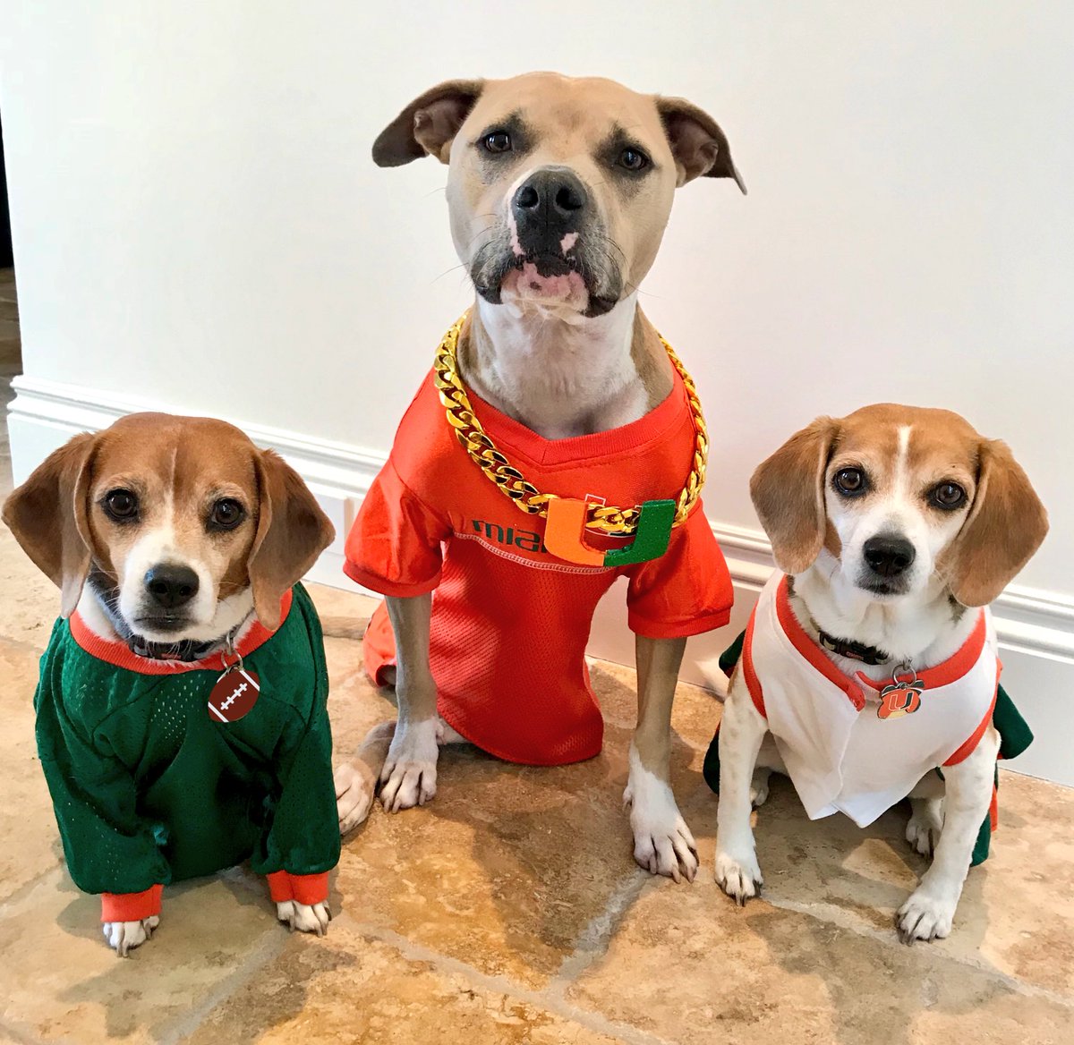 JennaGreen's tweet photo. Ready to #BeatND today🙌🏼!!! Go @CanesFootball @MiamiHurricanes! #TheU #TurnoverChain #GoCanes https://t.co/J4pUWVtwoS
