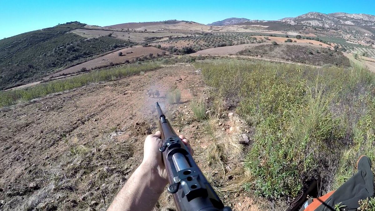 Amigos monteros, ¿qué tal ha ido hoy? 
AhoraCazo.com