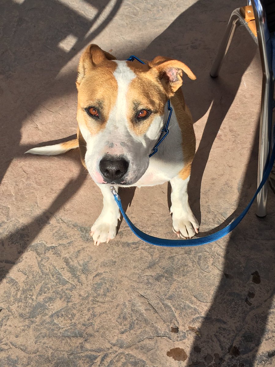 TheUnionCarson tweet media