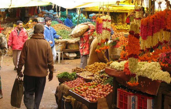 Explore Into tweet media