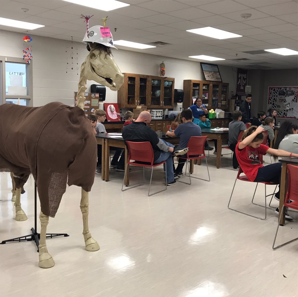 NMHSStuCo's tweet photo. Proud of our Destination Imagination teams who are learning about costume tech! #centraltheme #costumes https://t.co/xJxZVVqkCy