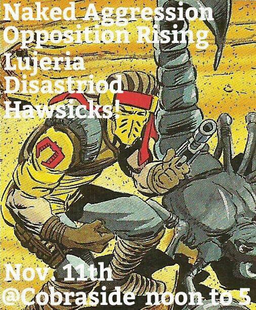 We'll be playing an afternoon BBQ show at Cobraside Records today in Ventura CA! Shindig is 12pm - 5pm.