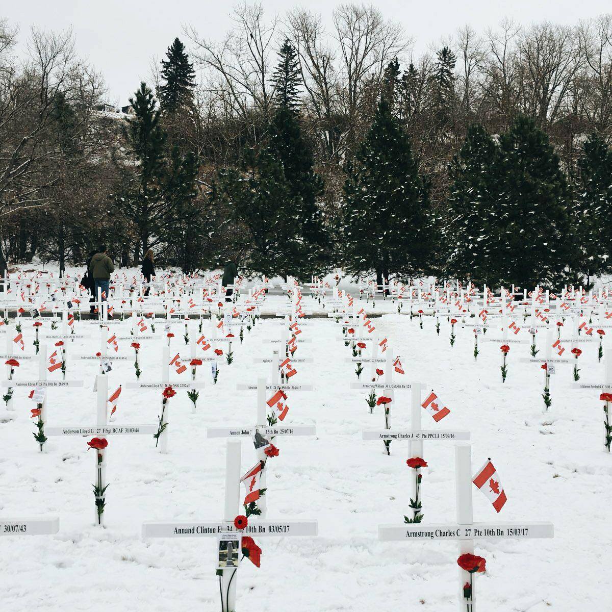 calgarydropin's tweet photo. Today we remember those that fought for our rights and freedoms across the world. Their sacrifice won't be forgotten.
There are resources for veterans in Calgary and Canada:
https://t.co/OUfsOzc2mZ https://t.co/gadRhPyImU
https://t.co/c5enebhGEO https://t.co/CrgQztM8L5 https://t.co/8IE9A443vB