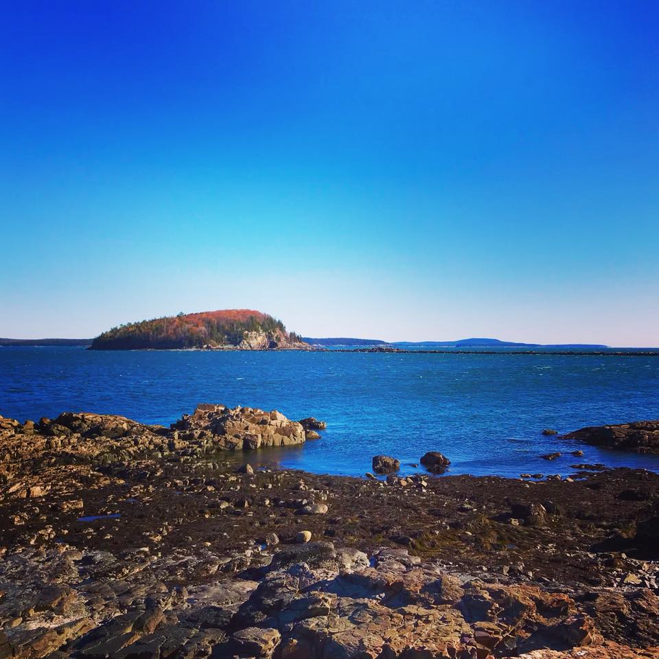 kimswan's tweet photo. Gorgeous out but so cold I can hardly feel my fingers to snap a photo. #shorepath #barharbor #maine https://t.co/bAKbmIQQjd