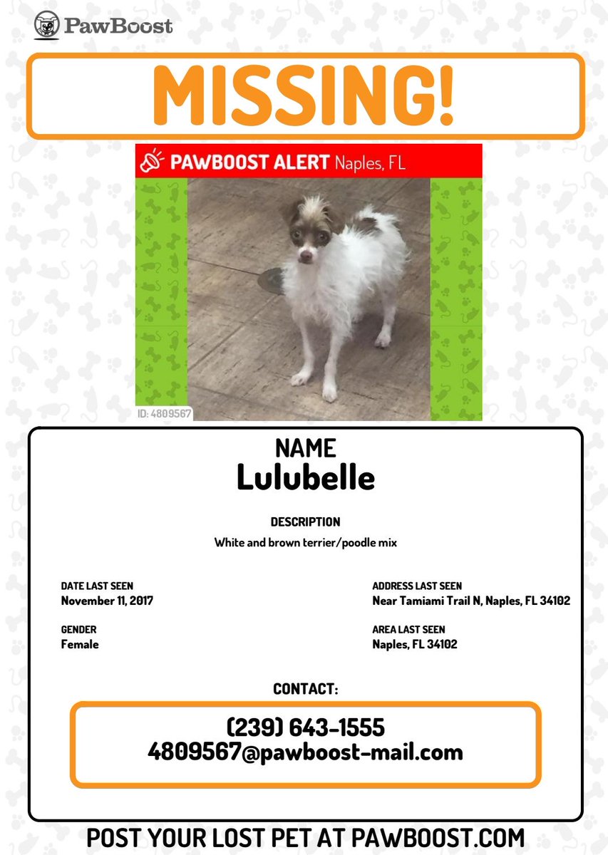 🚨 Help us find Lulubelle! Please RT. #LostDog #NaplesFlorida #SWFL <a href="/PawBoost/">PawBoost</a>