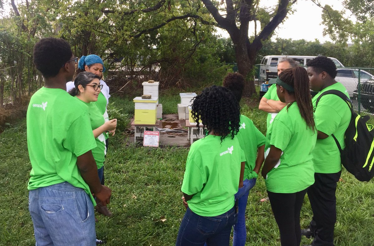 Our beekeeping apprentices participated in monthly Honeybee colony inspections today with <a href="/BeeFreeApiary/">Bee Free Apiary</a> 🐝