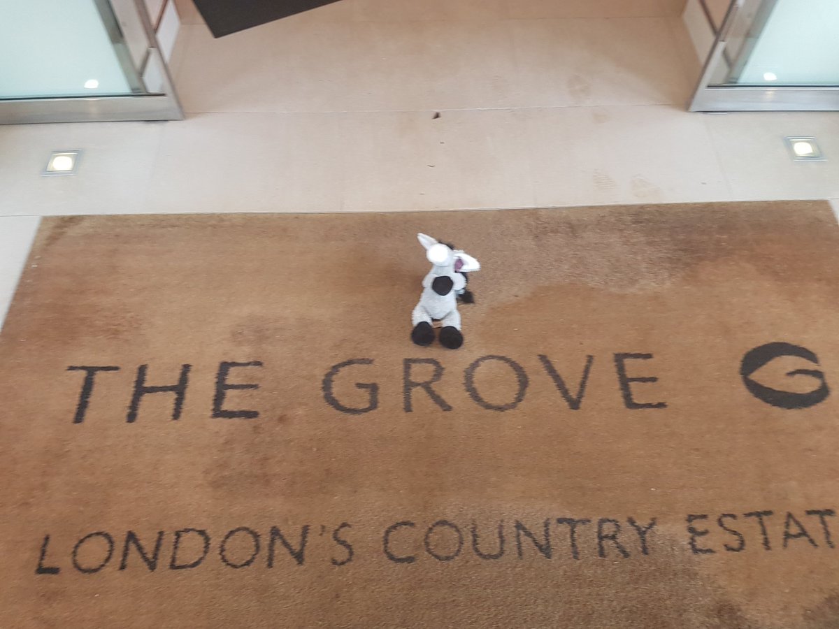 heathercheets's tweet photo. #earlgreydonkey #thegrove #wildgooseevents @TheGroveHotel @wildgooseevents https://t.co/FlZ59dm4nb