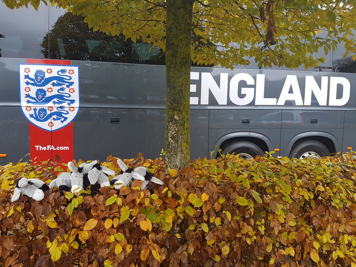 heathercheets's tweet photo. The England Team working hard @TheGroveHotel @wildgooseevents #earlgreydonkey #thegrove #wildgooseevents https://t.co/sXDKOSvsLI