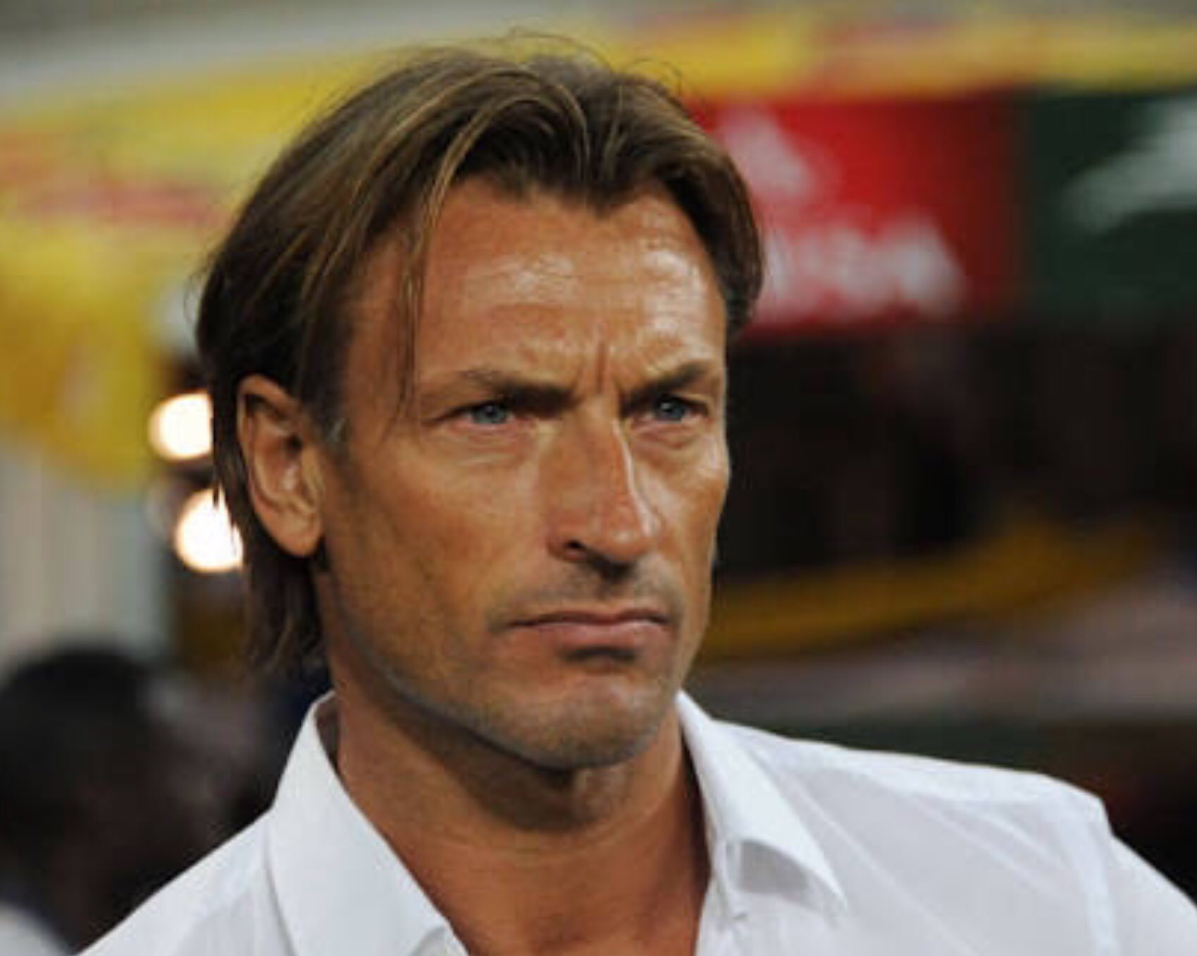 河治良幸 心を込めて冬眠中 モロッコをw杯に導いたエルヴェ ルナール監督はとにかくイケメンです T Co 6ukjtznny2