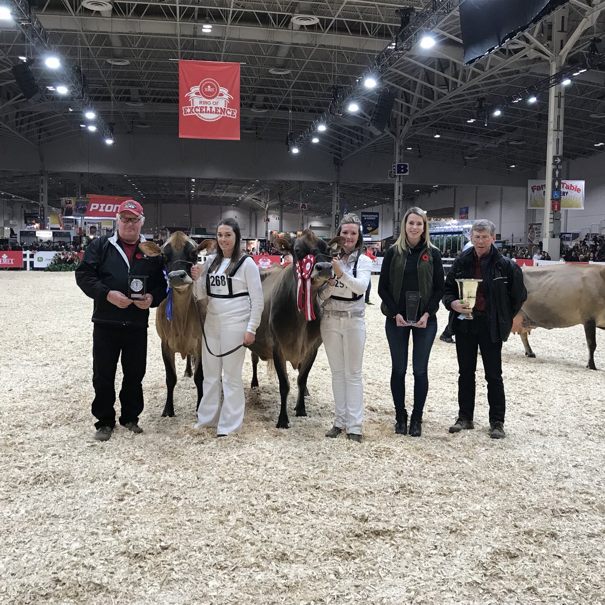 JerseyCanada's tweet photo. We love production cows! https://t.co/CO0yryODmk