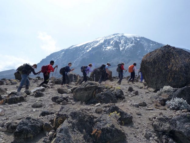 Way up to Mt. Kilimanjaro. welcome you brothers and sisters for the best Trekking. Email us: info@taitravellers.com
+255 768 145675 WhatsApp