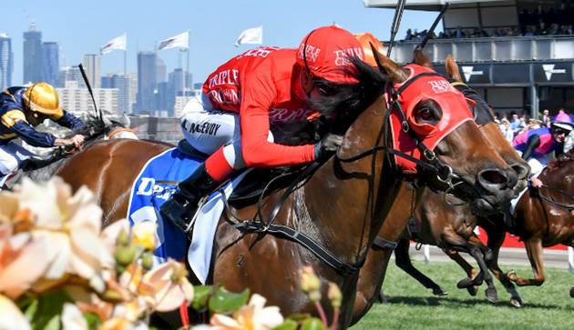 GoldnersHT's tweet photo. #GoldnersTransported a Stakes Day triple - Fastnet Tempest, Moher and the Darley Classic winner Redzel! #GoldnersStable https://t.co/Oun7wx5wan