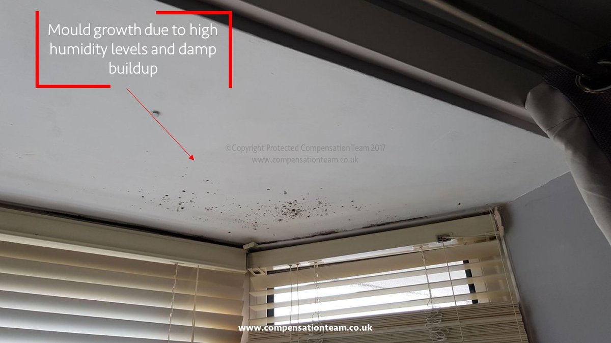 DampHomesUK's tweet photo. https://t.co/ZDUbeVJknh
#Cwmbran #Sebastopol #Griffithstown #Pontypool #Trevethin #Goytre #Crumlin #Swffryd #Croespenmaen #Oakdale #Cwmcarn #Abercarn #Newbridge #Treowen #Risca #Rogerstone #Ynysddu #Cwmfelinfach #Pontllanfraith #Bargoed #Markham #Bettws #Hollybush #Pontnewydd https://t.co/CCrWSYcAvm