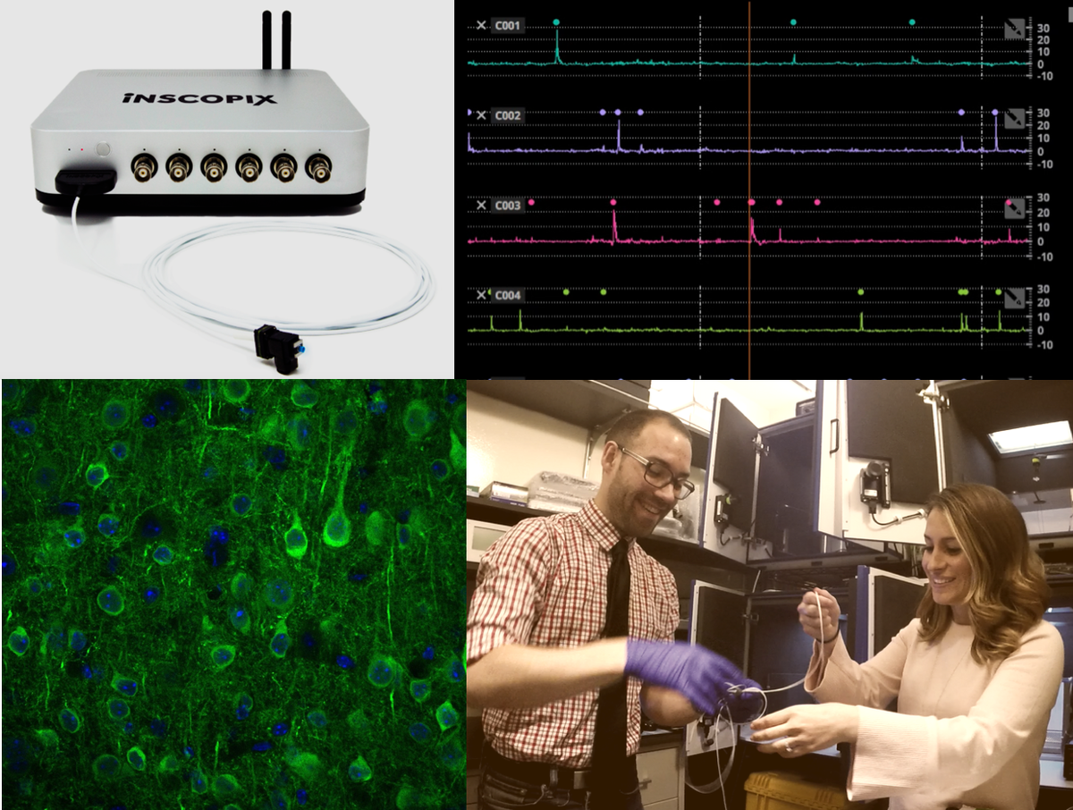 Inscopix's tweet photo. A message from @Inscopix CEO @KunalKGhosh to the neuroscience research community as we get ready for an amazing #SfN17:
https://t.co/t9kfGWVVYC
#Booth323 https://t.co/vMODIwewSA