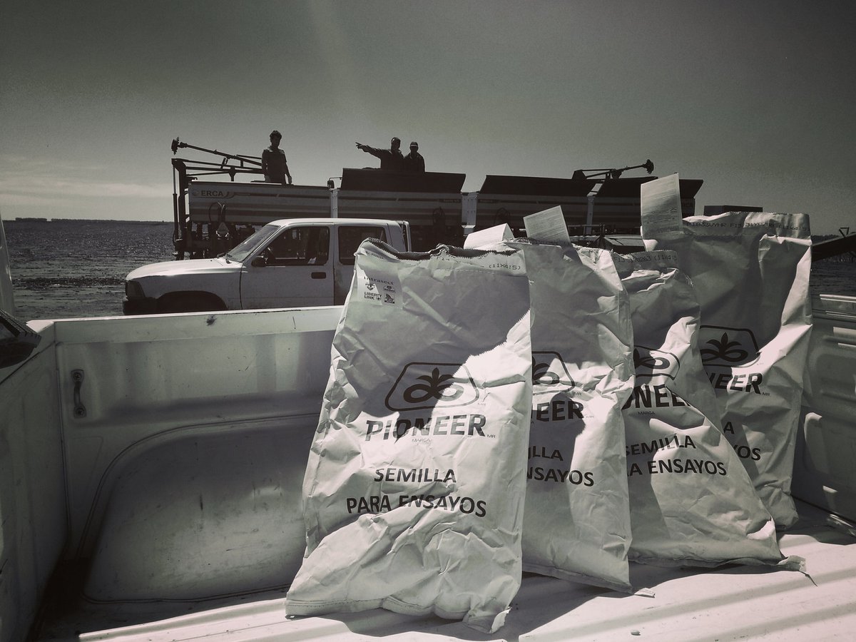 Dealers_Pioneer's tweet photo. #StripTest #NuevosHíbridos #Maíz #Leptra #Intrasect #Sudeste https://t.co/M3jDKegSTi
