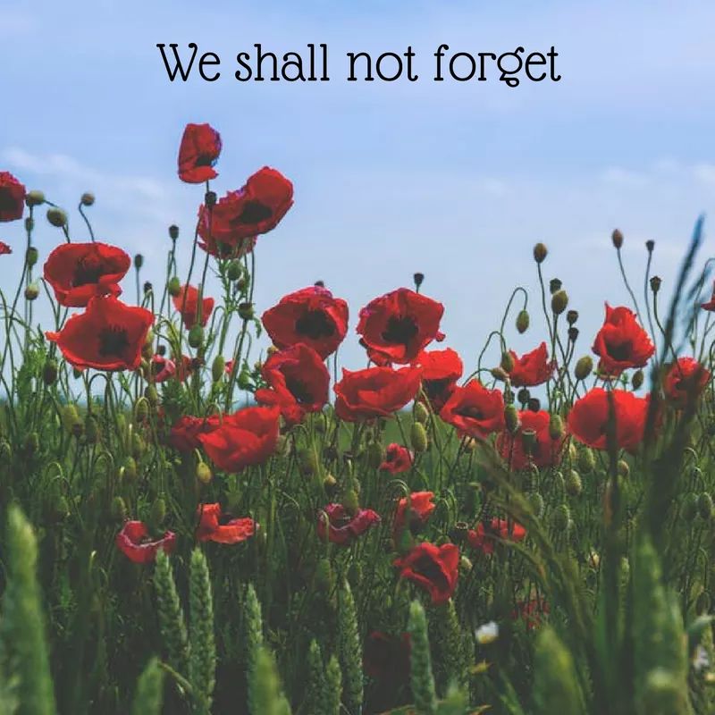 They gave their tomorrows so we could have our today.

#RemembranceDay #LestWeForget