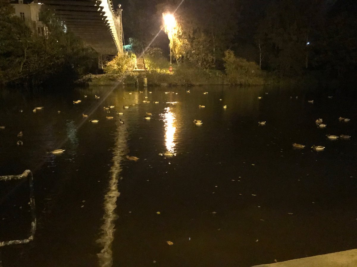 kevbrackenbury's tweet photo. #DucksRUs #AmWalking #Handbridge/Chester/Border #EveningStroll https://t.co/YOp3lnn4kM