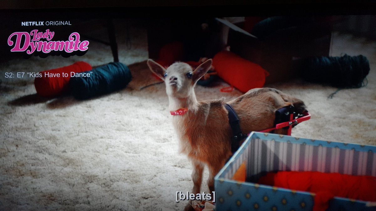 bestjessever's tweet photo. @mariabamfoo Tink is a scene stealer in Season 2 of #LadyDynamite
#Bleats
#HotWheels https://t.co/5jxsetz15H
