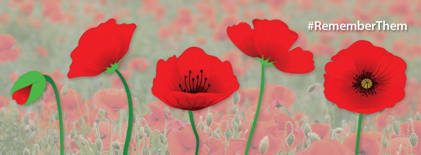 _JamesElectric's tweet photo. Remember Canada's Veterans and their service and sacrifice for our country. #RememberThem https://t.co/aEbKzOx6jU