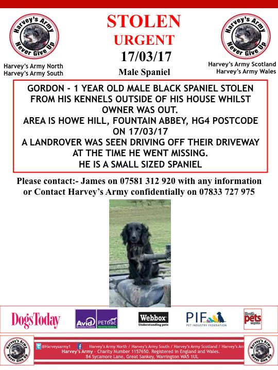 blacklab115's tweet photo. #stolen #findgordon #fountainabbey https://t.co/h14phcF8WH