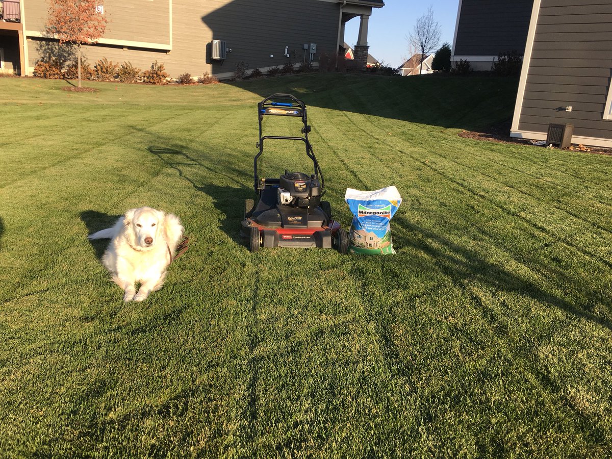 joshcarls's tweet photo. Wrapping up 2017 with my final mow. Thanks @AllynPaul for all of the education and #enjoythemow . Thanks @ryanknorr for turning me on to a #torotimemaster. Thanks @Milorganite for feeding my lawn. #MiloMagic Time now for dormant feed with #milorganite. https://t.co/SA9uuZ5lGx