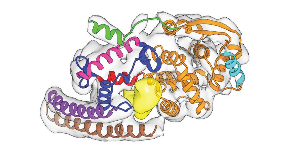 analyticaFair's tweet photo. Most-read analytica news: Ebola virus protects its genetic material with a hug – Nucleocapsid of intact viruses' genome determined for first time in highres [in German] https://t.co/55tYlQJFMa @BriggsGroup @embl @KyotoU_News @Uni_MR #CryoElectronTomography #subtomogramaveraging https://t.co/OW4MvDtYVG