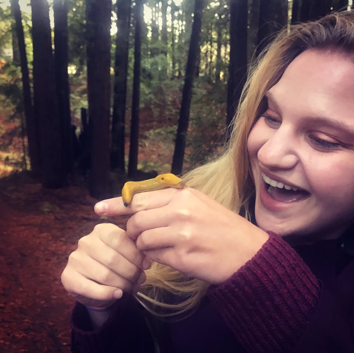 Doriane Weiler tweet media