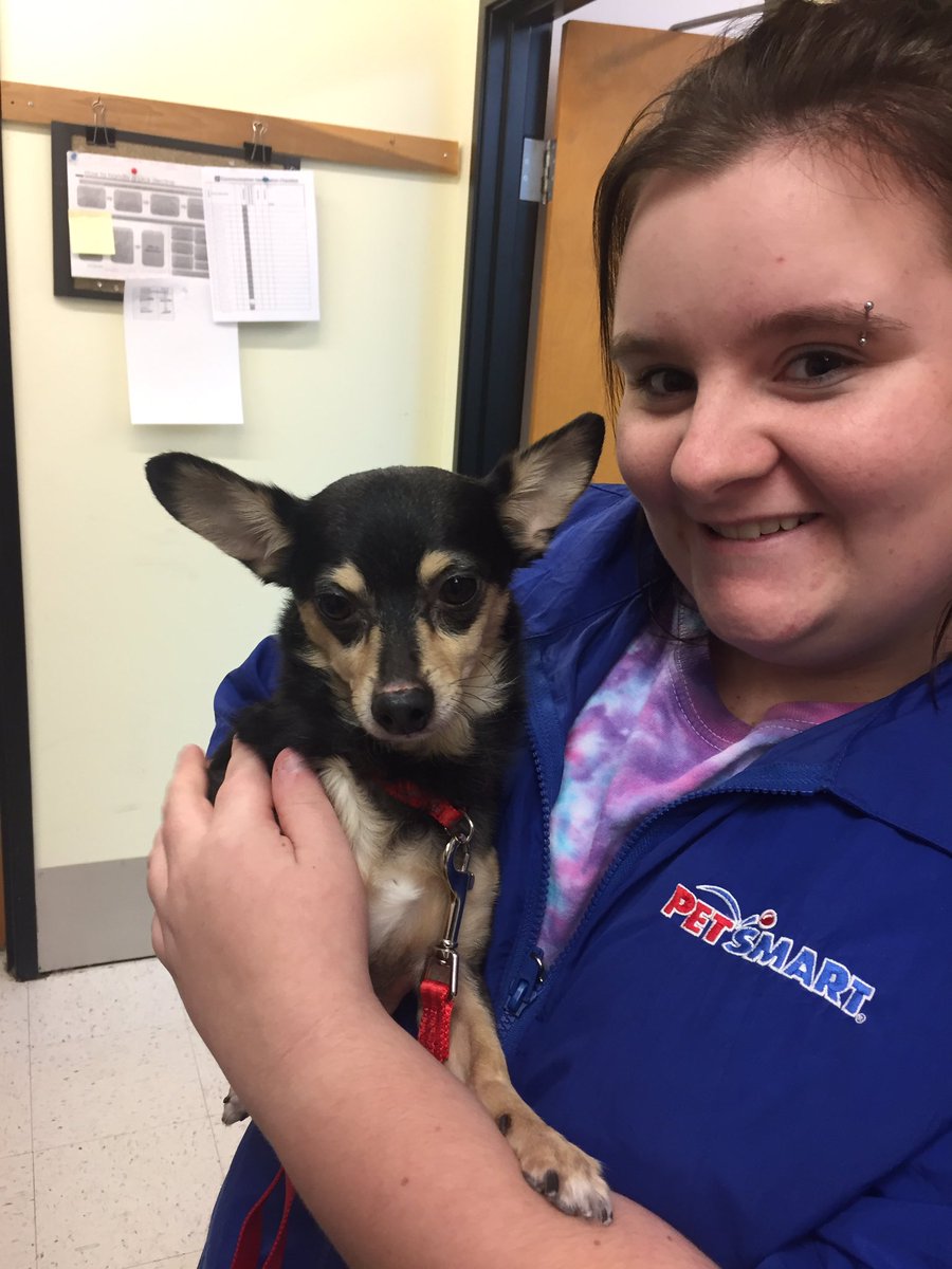 1171Petsmart's tweet photo. Congrats to our bather Hallie for adopting her new pup, Elvis, this weekend! #Adoptlove #NationalAdoptionWeekend @PetSmartChariTs https://t.co/W6PWVoxH0F