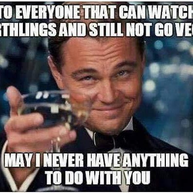 HCsunshine's tweet image. #animalrights #earthling