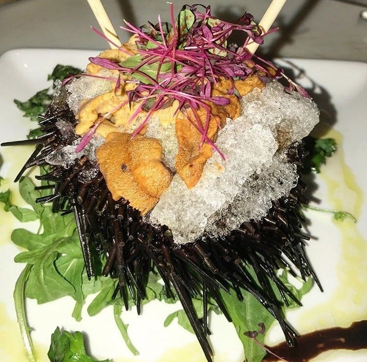 Catch19RB's tweet photo. Would you try this chilled sea urchin? See what else is on the #Catch19 menu: https://t.co/FlRhfxdLc2 https://t.co/UHF0zXYreL
